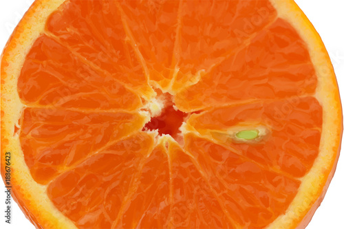 slice of orange