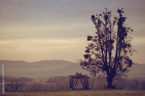 The View in Malenovice, Czech Republic, Beskydy photo