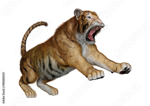 Fototapeta Naklejka Na Ścianę i Meble -  3D Rendering Big Cat Tiger on White