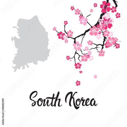 South Korea Map With Beautiful Blossom Of Sakura Branch Isolated On White Background Vector Illustration