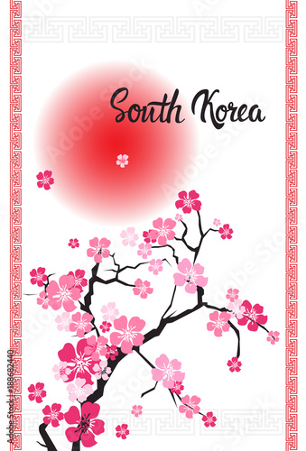 South Korea Lettering With Beautiful Blossom Of Sakura Branch On White Background Vector Illustration