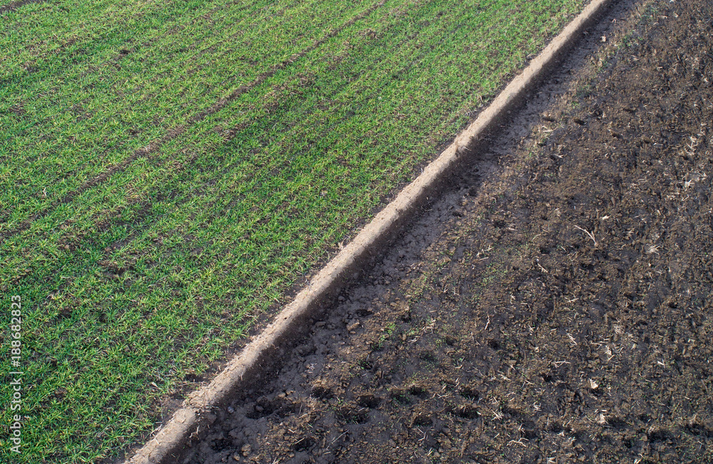 Aerial image of agricultural fields Aerial image of agricultural fields