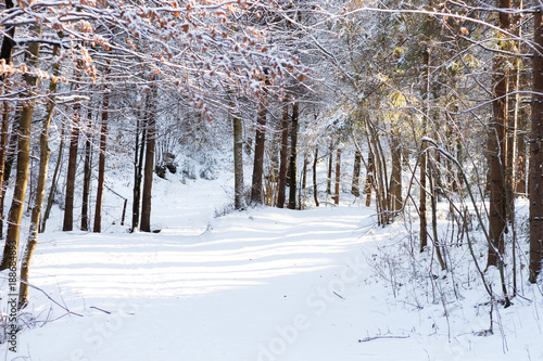 Fototapeta Naklejka Na Ścianę i Meble -  spacer po Wiśle i okolicach