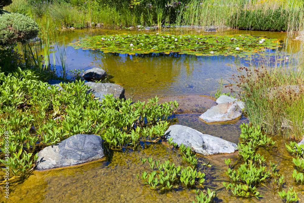 Schöner Seerosenteich Schöner Seerosenteich