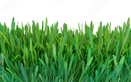 Green grass. Natural grass texture pattern background. Meadow. Spring, summer season. Plant growth 3d rendering