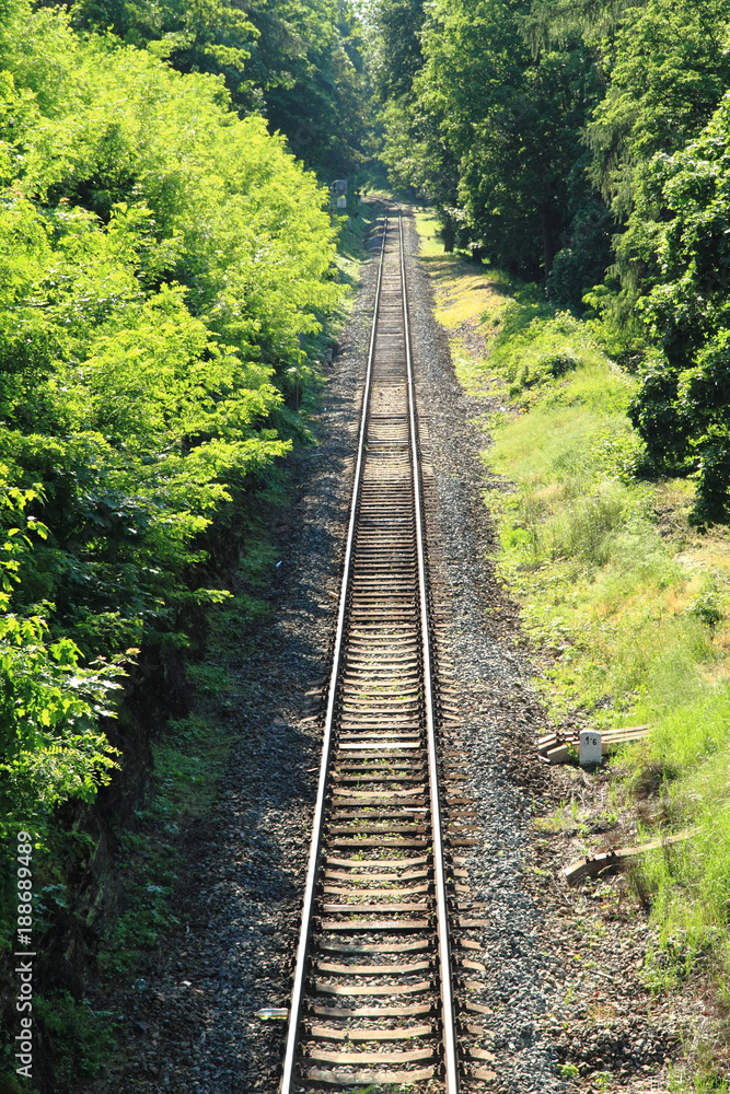 railway in the spring forest railway in the spring forest