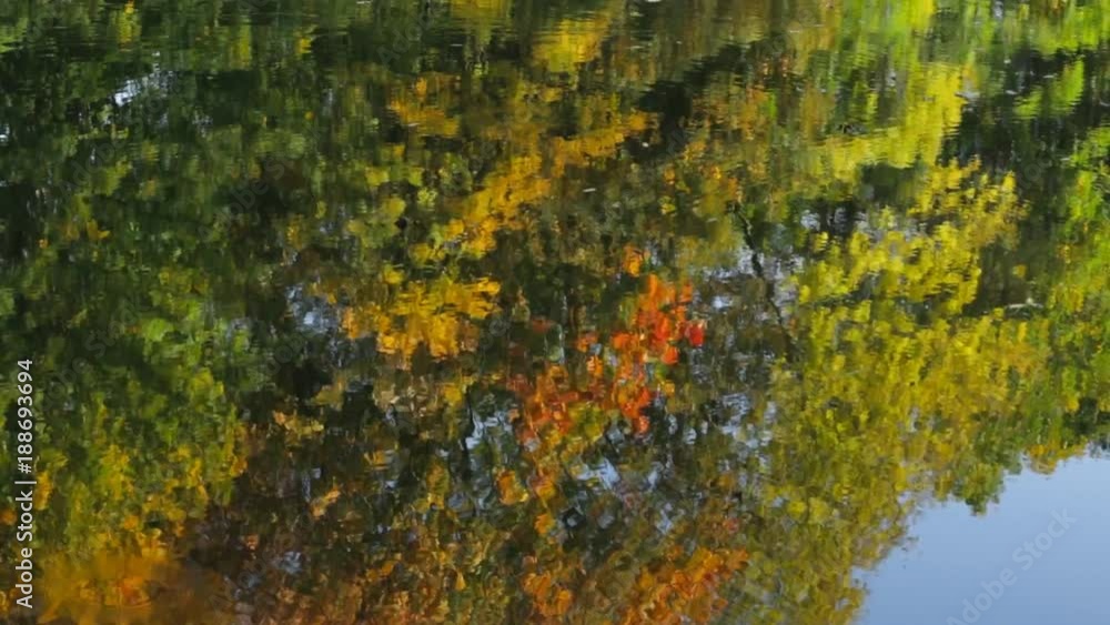 Beautiful reflection of the autumn forest in the lake Beautiful reflection of the autumn forest in the lake