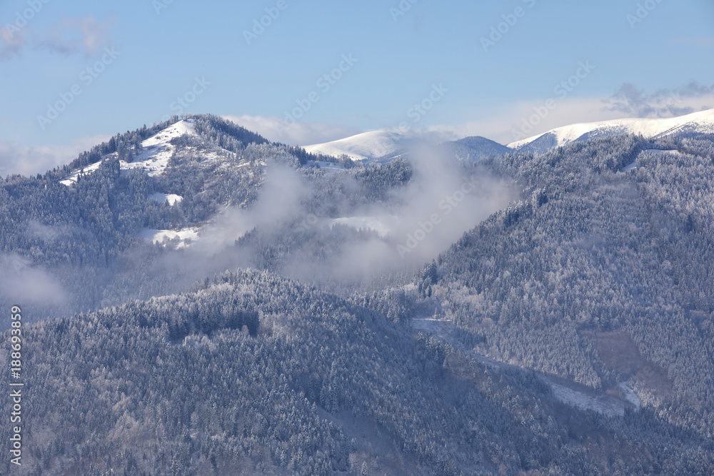 Gipfel Haneggkogel im Grazer Bergland bei Frohnleiten, Steiermark