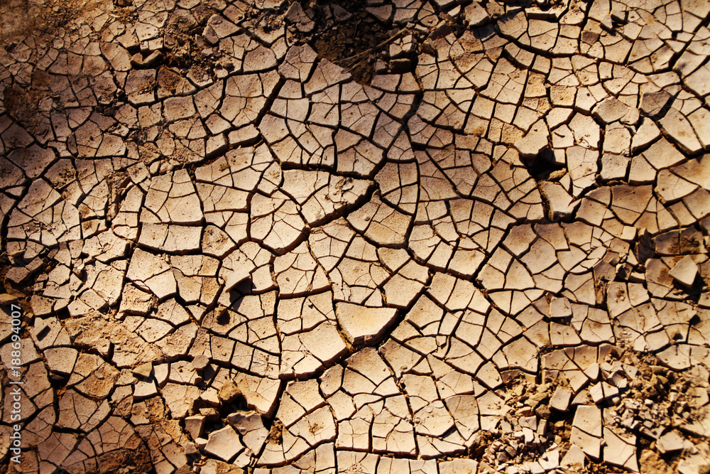 Fototapeta premium Dry ground background