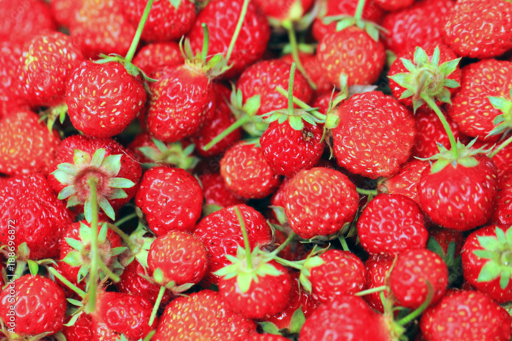 fresh strawberries texture fresh strawberries texture