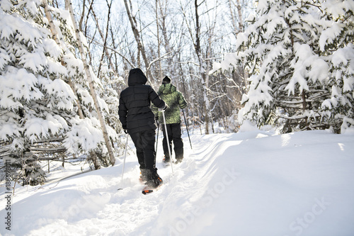 snowshoes people in forest from back