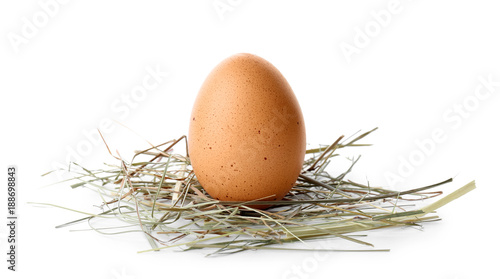 Chicken egg on white background