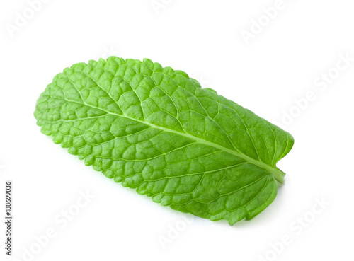 Fresh lemon balm leaf on white background