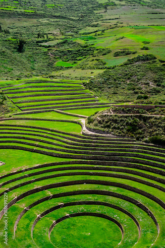 Schilderij op canvas Agricultural terraces in the Sacred Valley