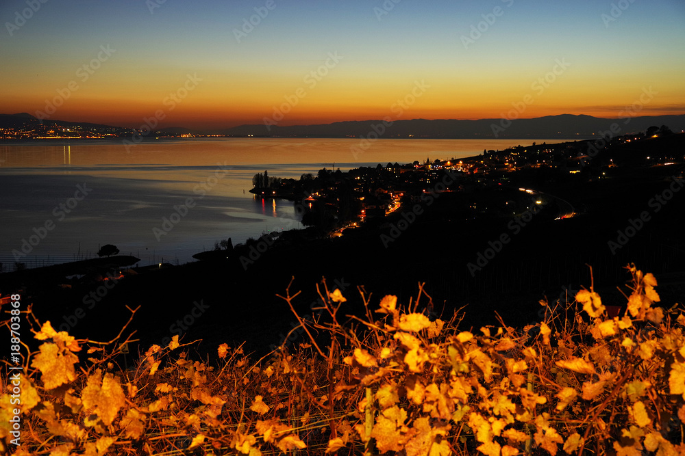 Obraz premium Sunset light over the vineyard terraces of Lavaux wine region (UNESCO World Heritage Site since 2007) overlooking the northern shores of Lake Geneva, Canton of Vaud, Switzerland