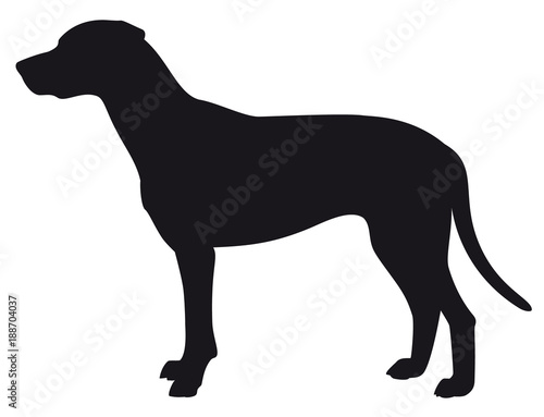 Dalmatian - Vector black dog silhouette isolated