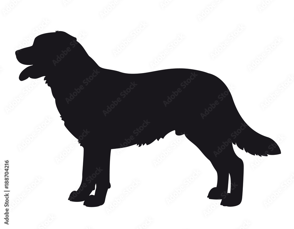 Labrador Retriever - Vector black dog silhouette isolated