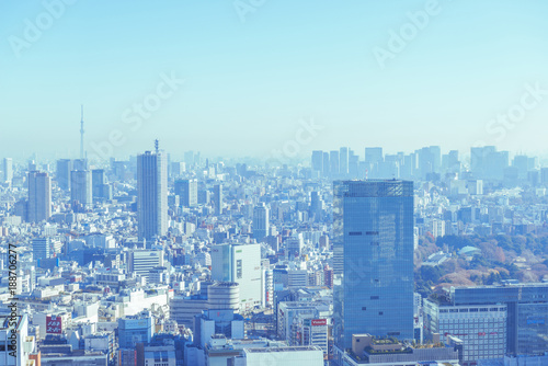 新宿の街並みと東京スカイツリー