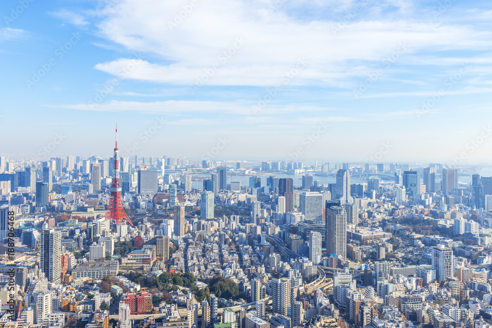 Naklejka premium Tokyo Tower i centrum miasta
