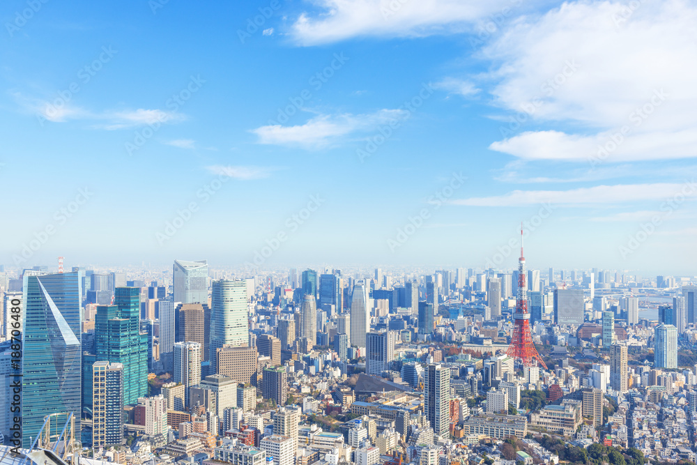 Fototapeta premium Tokyo Tower i centrum miasta