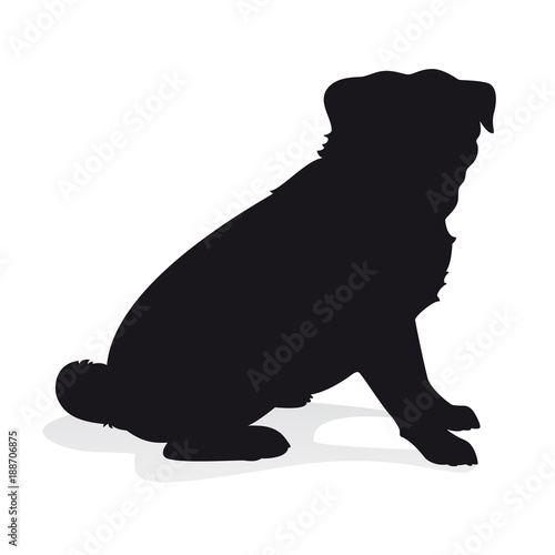 Pug dog sitting -  Vector black dog silhouette isolated