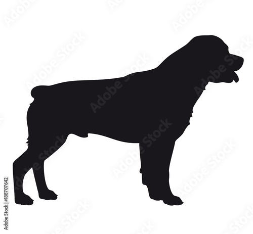Rottweiler dog - Vector black silhouette isolated