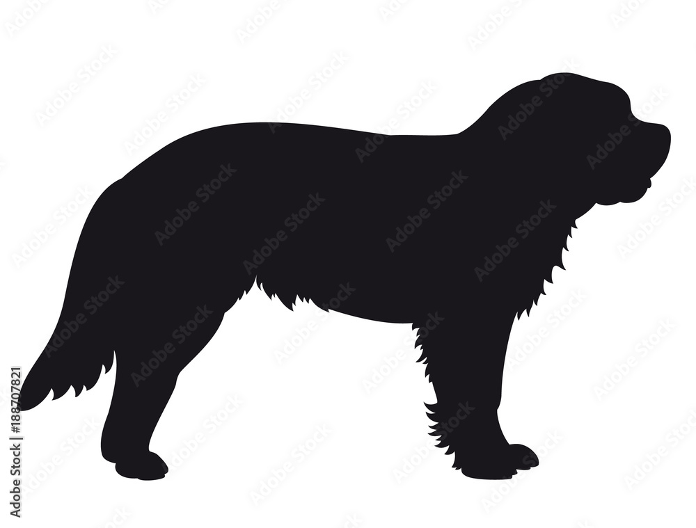 St Bernhard Dog dog - Vector black silhouette isolated