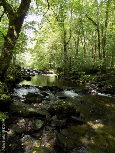 Eau et nature