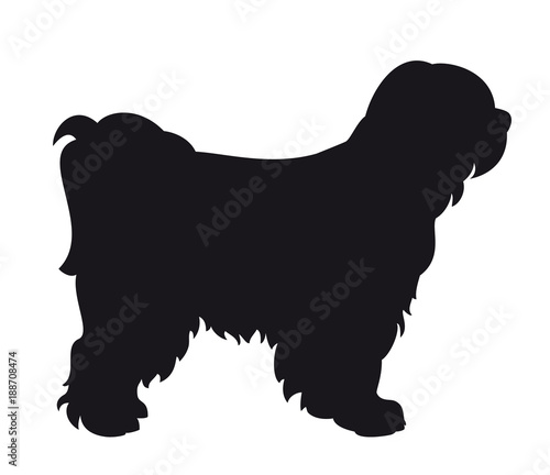 Tibet Terrier dog - Vector black silhouette isolated