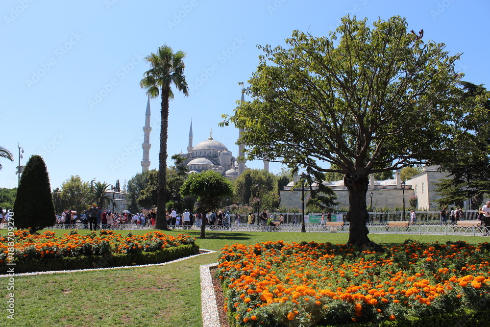 Obraz premium Istanbul