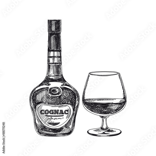 Beautiful vector hand drawn beverage Illustration.  