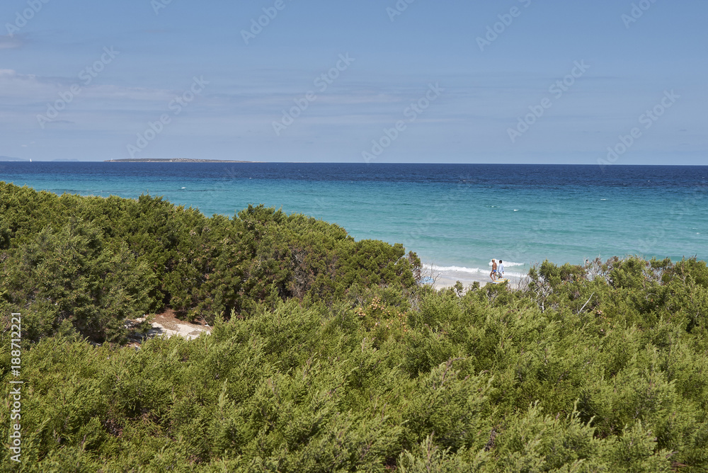 Formentera island, view of Playa Levante