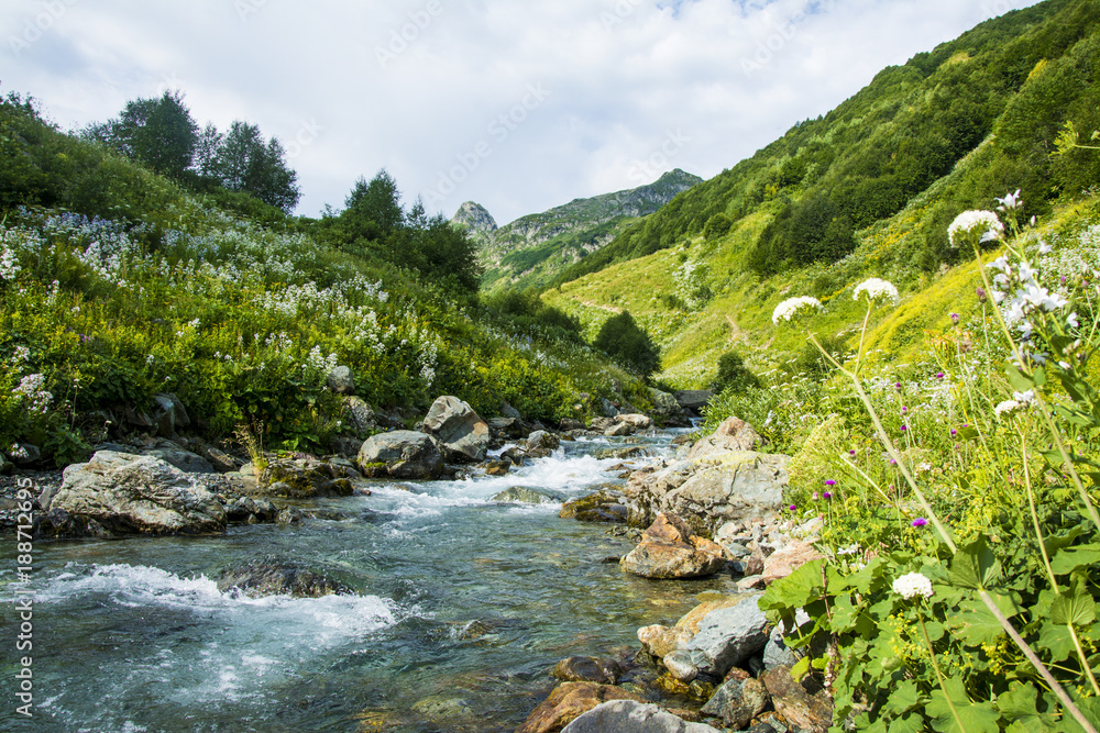 Stormy mountain river. Mountain green valley. Caucasus. Stormy mountain river. Mountain green valley. Caucasus.