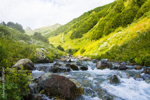 Stormy mountain river. Mountain green valley. Caucasus.
