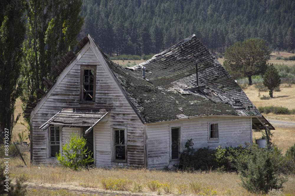 Old homestead ruins Old homestead ruins