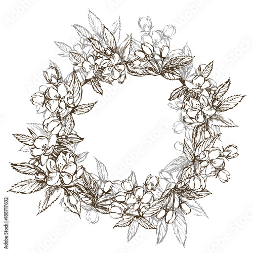 Branches of apple blossom. Floral wreath. Graphic round border.