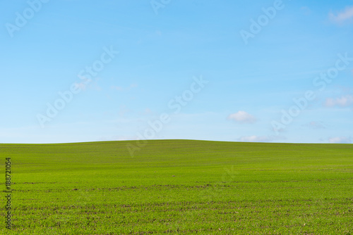 Green field and blue sky.