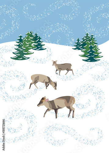 Winter snow scene with muntjac deer © Gem Graphic Design