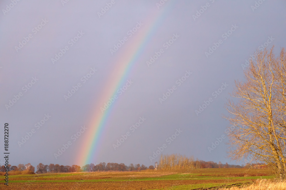 Rainbow in a field. The atmosphere is rainbow after the rain.
