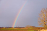 Rainbow in a field. The atmosphere is rainbow after the rain.
