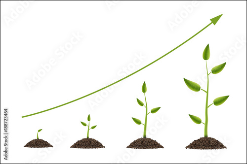 Creative vector illustration of growth up green tree with leaf isolated on background. Business cycle diagram development. Art design seedling gardening plant life. Abstract concept graphic element