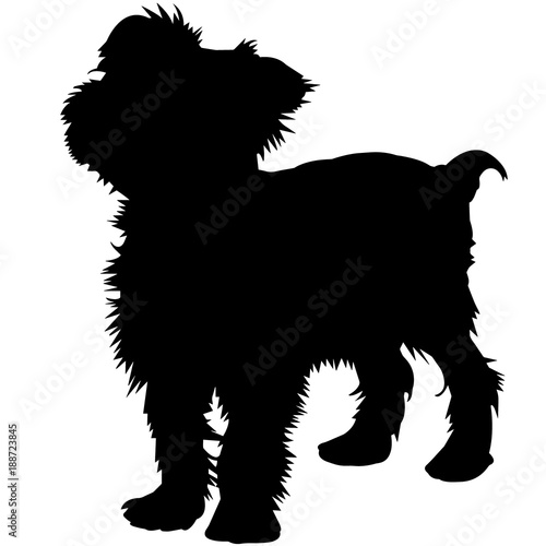 Yorkshire Terrier Dog Silhouette Vector Graphics