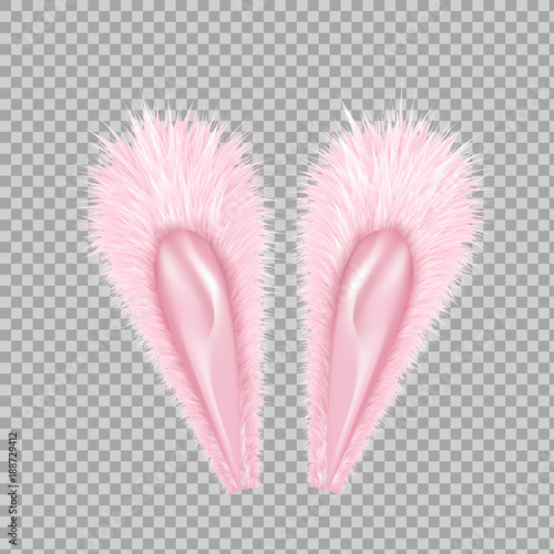 Vector realistic rabbit, bunny easter ears