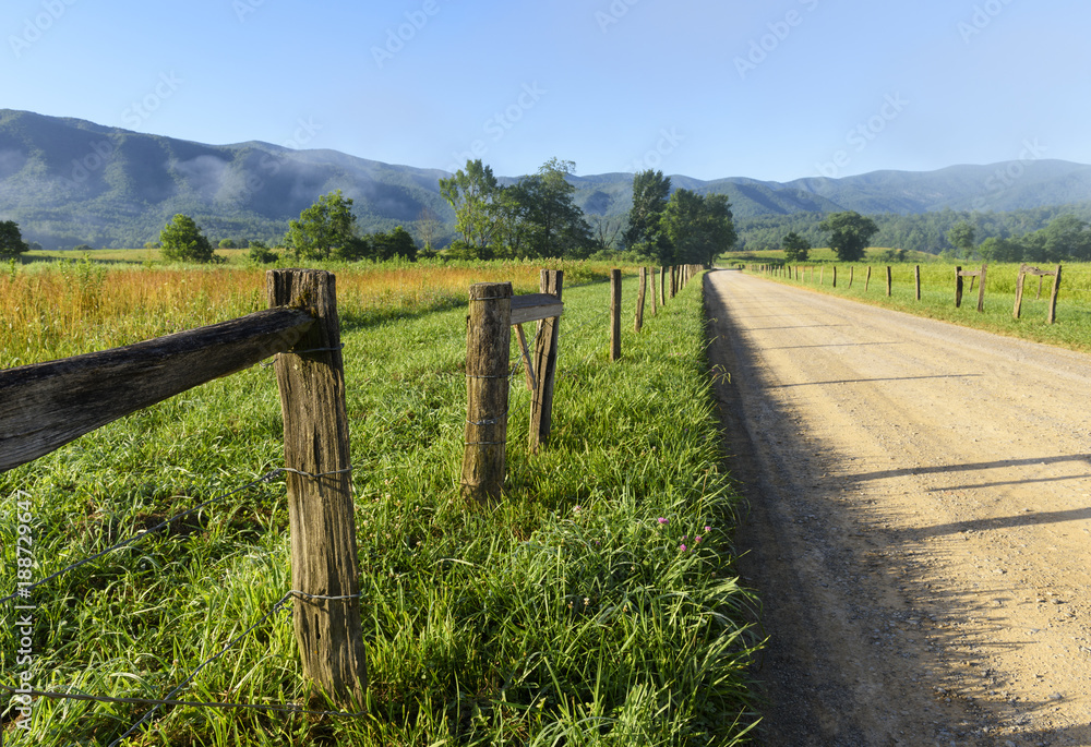 Fence Along Country Road on Sunny Morning