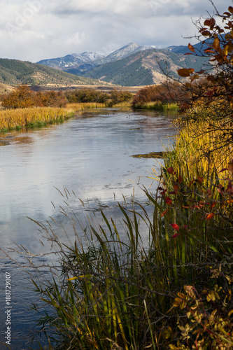 Fall colors along the creek's edge