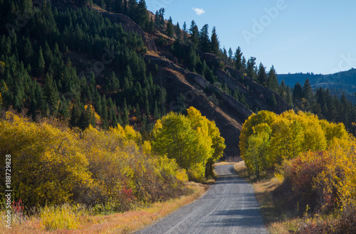 Traveling down the road through colorful trees 