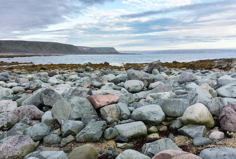 Blue and pink stones on the coast of the Barents Sea, Varanger Peninsula, Finnmark, Norway