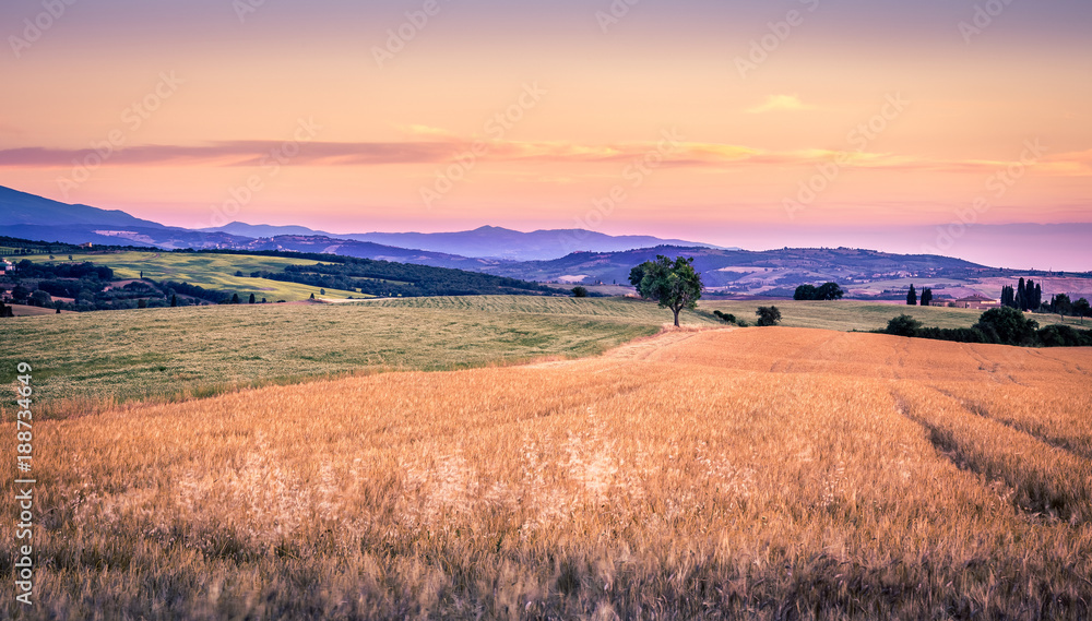 Tuscan rural landscape