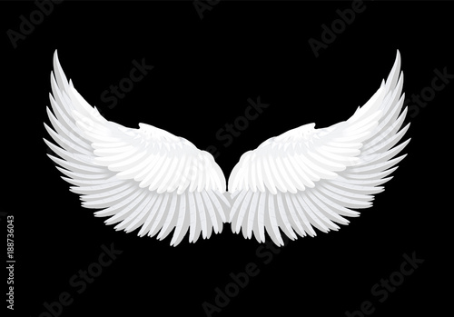 Vector realistic white angel wings
