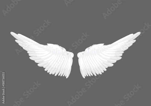 Vector realistic white angel wings